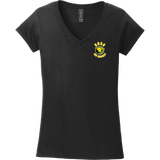 Chester County Softstyle Ladies Fit V-Neck T-Shirt