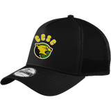 Chester County New Era Snapback Trucker Cap