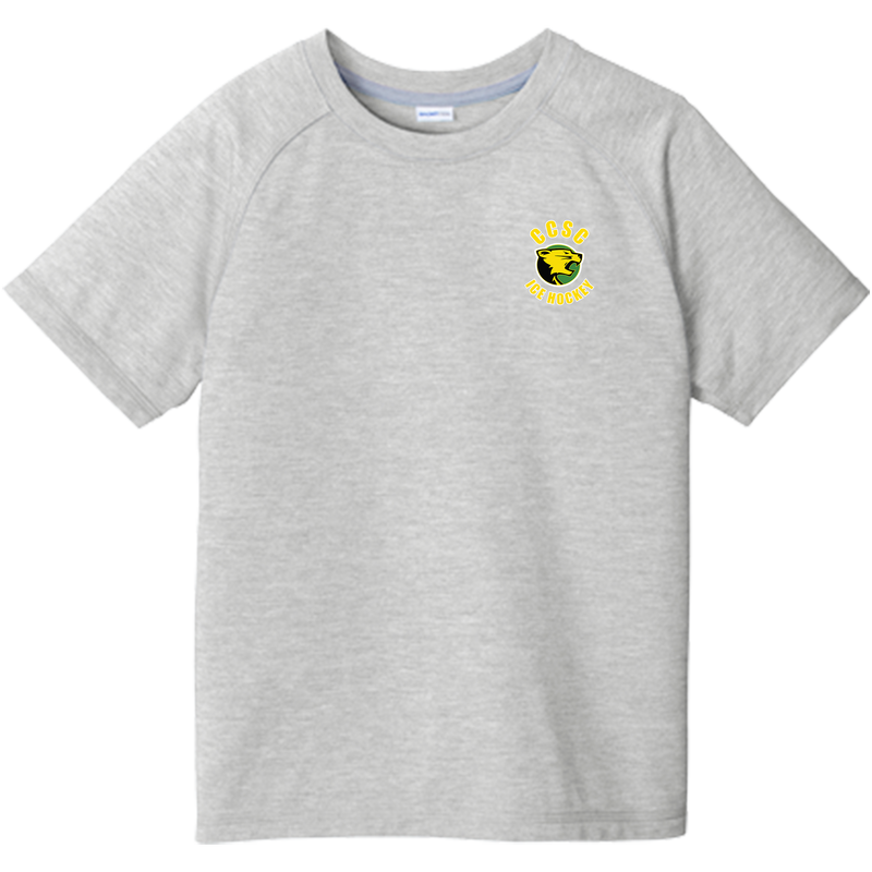 Chester County Youth PosiCharge  Tri-Blend Wicking Raglan Tee